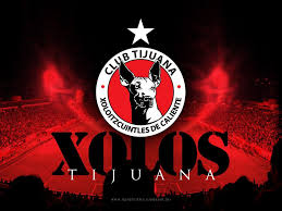 Animal watch 5.053.580 views2 year ago. 40 Xolos Ideas Tijuana Club Tijuana Soccer