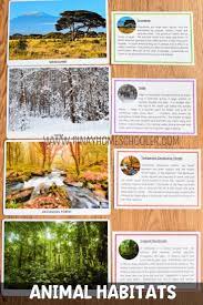 I Created This File For Our Geography And Animal Studies At Home We Use This To Study The Different Biomes Biomes Sorting Activities Kids Learning Activities