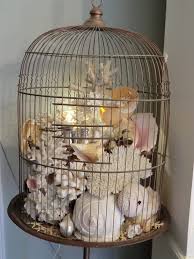 Just use it as an ascent piece in my house. Pin On Beautiful Birdcages