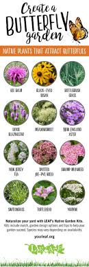 Starting on page 16 of the planting guides you can find lists of plant names that will attract pollinators and help you build beautiful pollinator habitat! Create A Butterfly Garden Leaf Local Enhancement Appreciation Of Forests