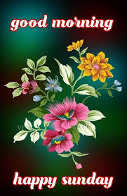 good morning photo के लिए इमेज परिणाम