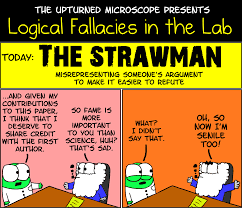 Lf1 Strawman Logical Fallacies Logic And Critical Thinking Philosophy Of Science