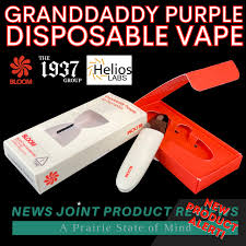Review: Granddaddy Purple Disposable Vape by Bloom - Illinois News Joint