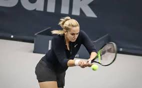 Normalerweise wird die weltrangliste vom ittf jeden monat aktualisiert. Sabine Lisicki Verletzt Sich Im Doppel Bei Wta Turnier In Linz