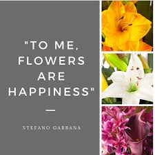 Happiness shared is the flower. Pin On Love This