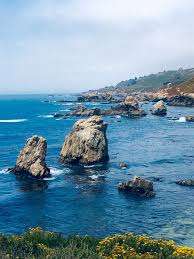 From this vantage point, you can identify a number of the birds and sea mammals that find refuge here. Hiking And Sightseeing At Monterey Bay Granite Bay Today