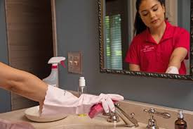Our records show it was established in 2012 and incorporated in washington. Molly Maid Of Lynnwood Care Com Lynnwood Wa House Cleaning Service