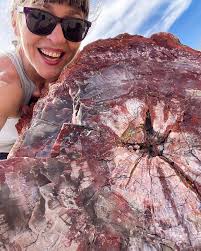 Happy Sunday Funday from Santa Fe!! We loaded up the camper and headed out  west for a week with Mother Nature! 🏜️ . . I left my heart in Homolovi  State Park,