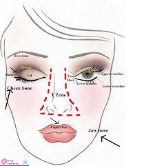 Young Foreverism Labelled Face Chart Whats What