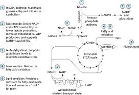 Image result for Pulmonary Intoxicant