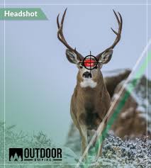 where to shoot a deer 6 kill zone shot placements w