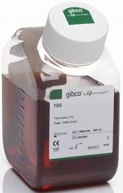 Fetal Bovine Serum (Fbs), Igg Depleted, South America
