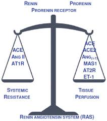 Join facebook to connect with samuel cåmel and others you may know. Novel Coronavirus Outbreak Dec 11 18 Novel Coronavirus Wiley Online Library