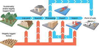 timber supply chain. Sustainably ...