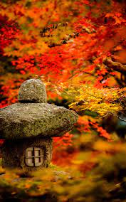 desktop background image of a fall foliage garden scene from the enkoji temple 円光寺 kyoto japan garden det japan garden japanese garden japanese landscape
