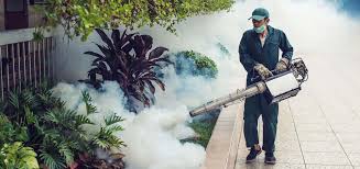 Pest control in connaught place delhi offers cheap and best, safe pest control services in connaught place new delhi, pest control service from a decade we are providing safe, fast and effective pest control in both domestic and industrial environments. Best Pest Control Services In Faridabad Gurgaon And Delhi Ncr All In One Pest Control India