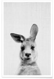Black And White Australian Animal Prints Kangaroo Baby Black White Photograph Poster Australian Animals Animal Wall Art Nursery Animals