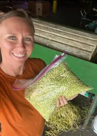 Burgin Farmers Market -Farm Stand