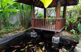 Sesuaikan besar kecil ikan sesuai dengan ukuran kolam ikan minimalis. 67 Gambar Kolam Ikan Minimalis 2020 Depan Dalam Belakang Rumah