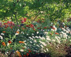 Sommerblumen Auf Der Landesgartenschau 2018 In Wurzburg Stilvolles Design Einfach Gepflanzt Sommerblumen Landesgartenschau Pflanzen