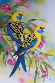 Yellow Rosellas By Lyn Cooke Paintings For Sale Bluethumb Online Art Gallery Birds Bird Drawings Birds Painting Beautiful Birds