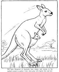 Those needing a kangaroo, letter k or australia themed sponge activity or printable coloring image will find these resources useful. Free Printable Kangaroo Coloring Pages For Kids Kangaroo Coloring Page Animal Coloring Pages Kangaroo Drawing