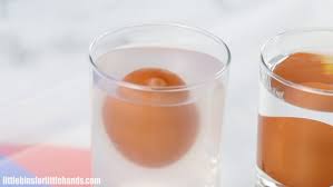 salt water density experiment for kids