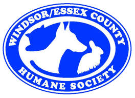 In january, albemarle announced an expansion of its operations in silver peak, nevada, where it hopes to accelerate lithium production from clay resources in the area. Windsor Essex County Humane Society