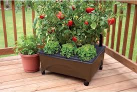 When it comes to planting tomatoes at your home garden, no doubt using a great planter is very important. Emsco Group 20 In W X 24 In L X 10 In H Earth Brown Raised Garden Bed In The Raised Garden Beds Department At Lowes Com