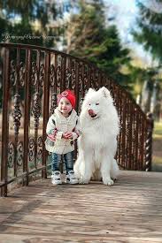I Hope Santa Brings You The Gift Of Never Ending Happiness This Christmas May You And Your Family Be Blessed Abundantly Merr Hayvanlar Evcil Hayvanlar Hayvan