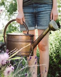 Höhe 7 cm, breite 13 cm. Manufactum Eine Giesskanne Wie Ihr Garten Sie Wird Mit Facebook