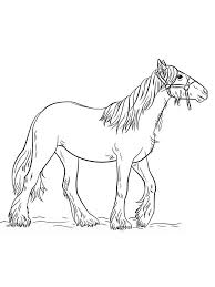 Wild Horse Coloring Pages Pict Horses Are Known As Runner Animals So They Are Often Used As Fast Transportati Horse Coloring Horse Coloring Pages Wild Horses