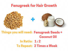 2 table spoons of fenugreek seeds; Fenugreek For Hair Growth With Coconut Oil How To Use Asianbeautytips Fenugreek For Hair Hair Growth Hair Mask For Growth