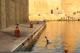 Toujours depuis marseille, vous pouvez également faire cap sur le continent africain. City Guide Marseille Transglobal Pan Party