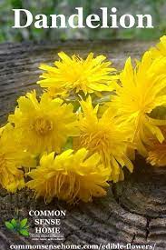 We did not find results for: Edible Flowers List With Edible Flower Names And Pictures List Of Edible Flowers List Of Flowers Edible Flowers