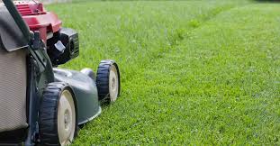 Taskeasy uses technology to simplify the process of. How To Mow Your Lawn