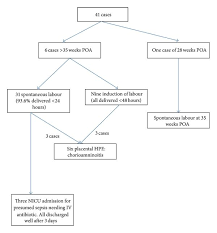 Image result for AmniSure ROM Test