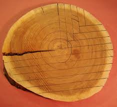 Rift sawn oak can come in a number of stains and will darken or golden over time. Quarter Sawn Wood 3 Reasons To Use Wwgoa