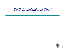 ppt dho organizational chart powerpoint presentation free