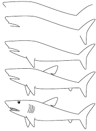 Drawing Shark Art Drawings For Kids Drawing For Kids Shark Drawing