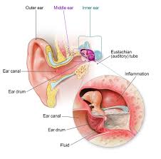 ear infection community antibiotic use cdc