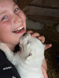 So I took this photo