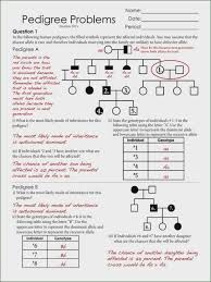 Shade in half of the symbol if you know that the individual is heterozygous or a carrier. Pedigree Worksheet Biology Answers Nidecmege