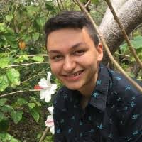 200+ perfiles de «Schiller»