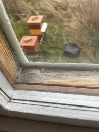 Image result for site:byggahus.se fuktigt