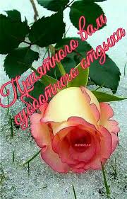 17 Wunsche Auf Russisch Ideen Guten Morgen Geburtstag Wunsche Verse Zum Geburtstag