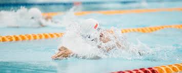 Jul 29, 2021 · beste zwemmers, zwemsters, openwater liefhebbers! Dit Zijn Nederlands Grootste Zwemkampioenen Zwemschool De Oceaan