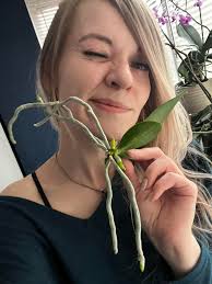 When your orchid hobby really grows