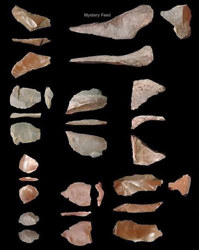 Ancient wooden tools discovered in Greece date back 430,000 years