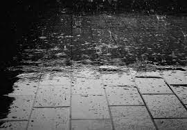 A 很同意 b 睡觉吧 c 可以实现 d 那是不可能的 (v). æ¢¦è§çªç„¶ä¸‹é›¨æ˜¯ä»€ä¹ˆæ„æ€æ¢¦è§çªç„¶ä¸‹é›¨æœ‰ä»€ä¹ˆé¢„å…† å'¨å…¬è§£æ¢¦